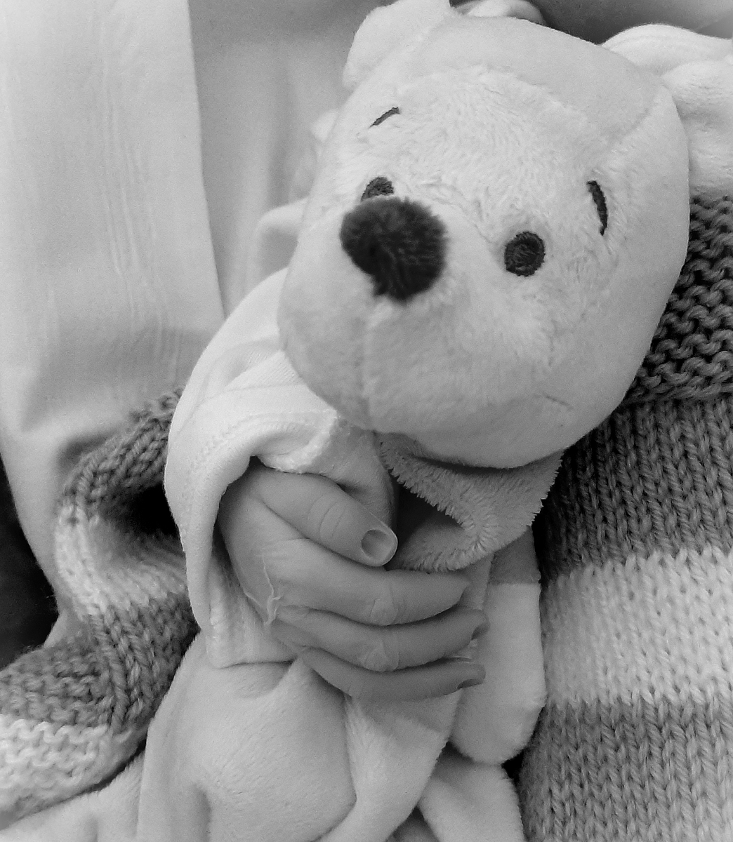 About Us